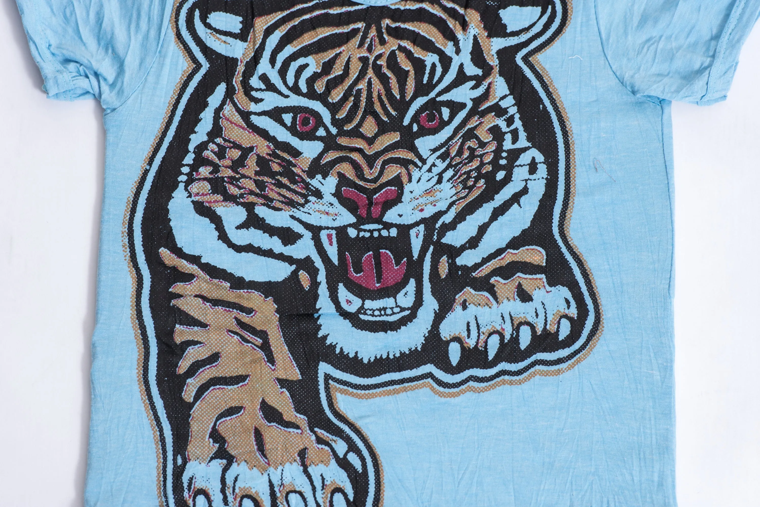 Kids Baby Tiger T-Shirt in Light Blue